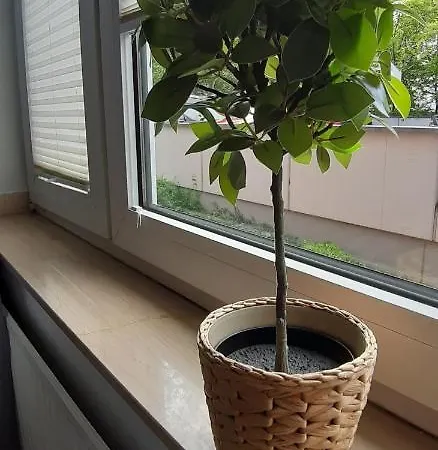 Gaestezimmer Gemuetlich Und Modern Fuer 1-2 Personen